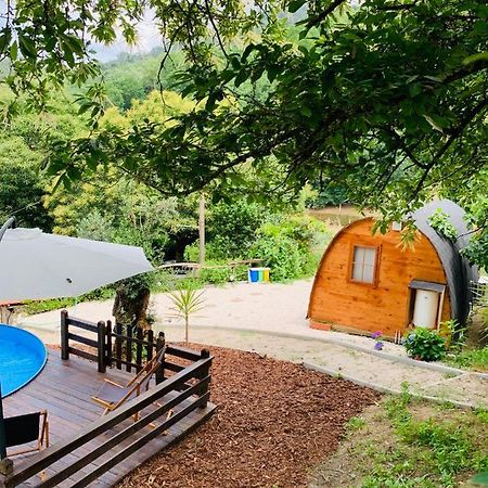 Gallas Pod House Vouzela Buitenkant foto
