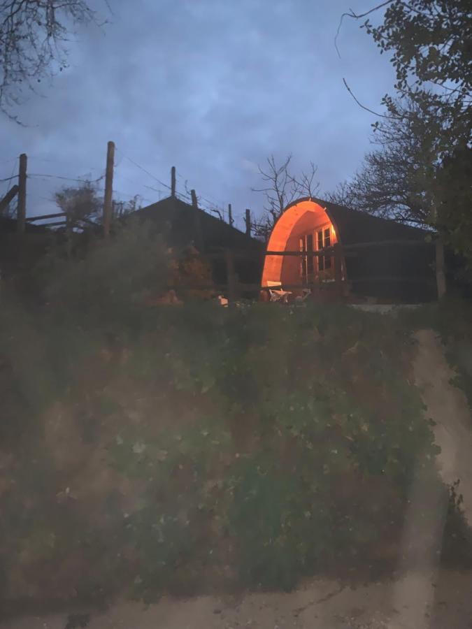 Gallas Pod House Vouzela Buitenkant foto